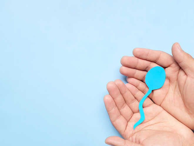 Малоподвижные сперматозоиды